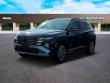 New 2025 Hyundai Tucson Limited AWD SUV