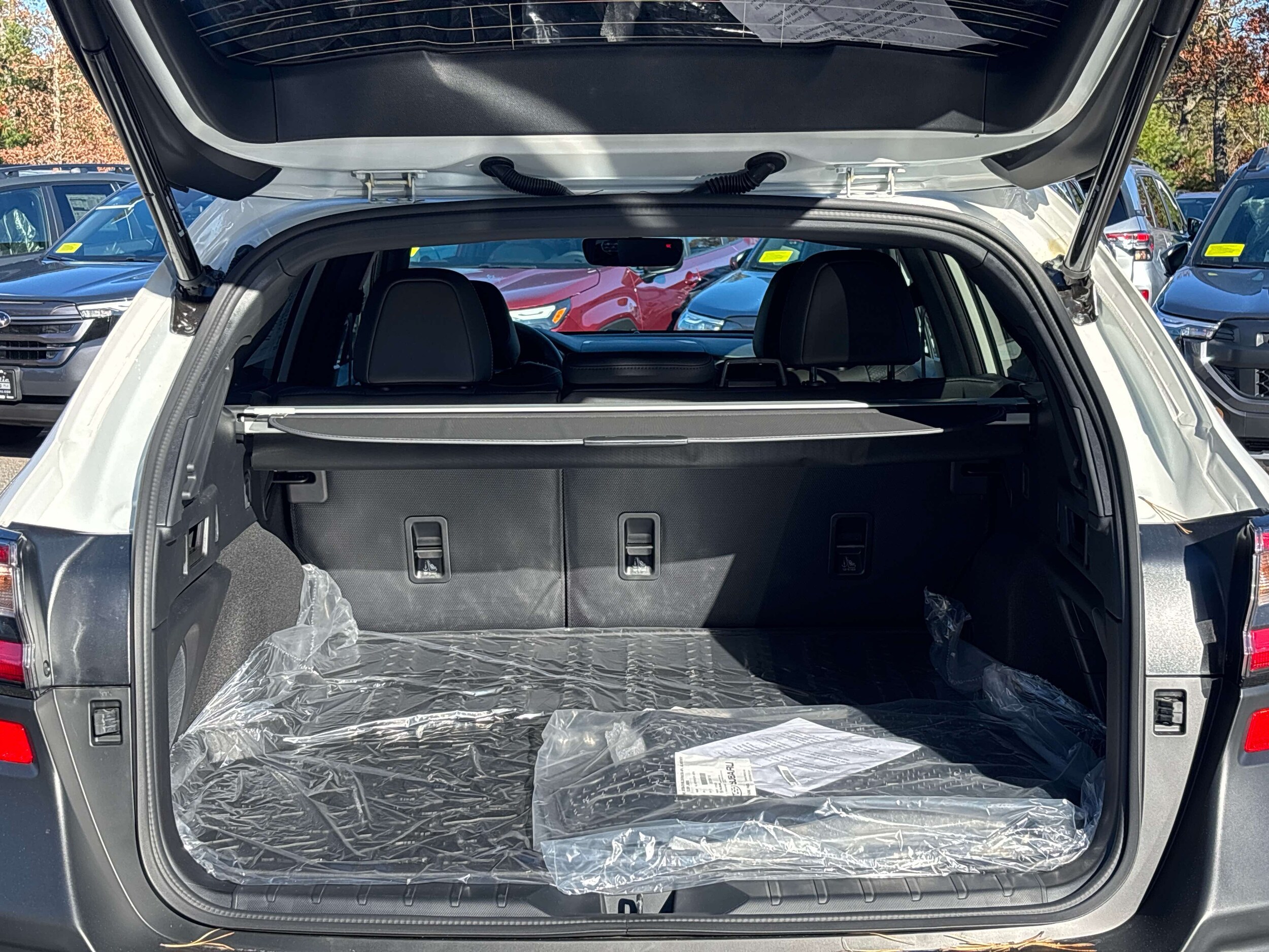 2025 Subaru Outback Wilderness photo 3