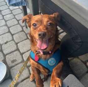 Staff member Ellie from ID_9c98a1517677