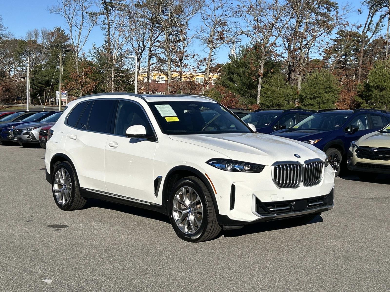 2025 BMW X5 50e's photo