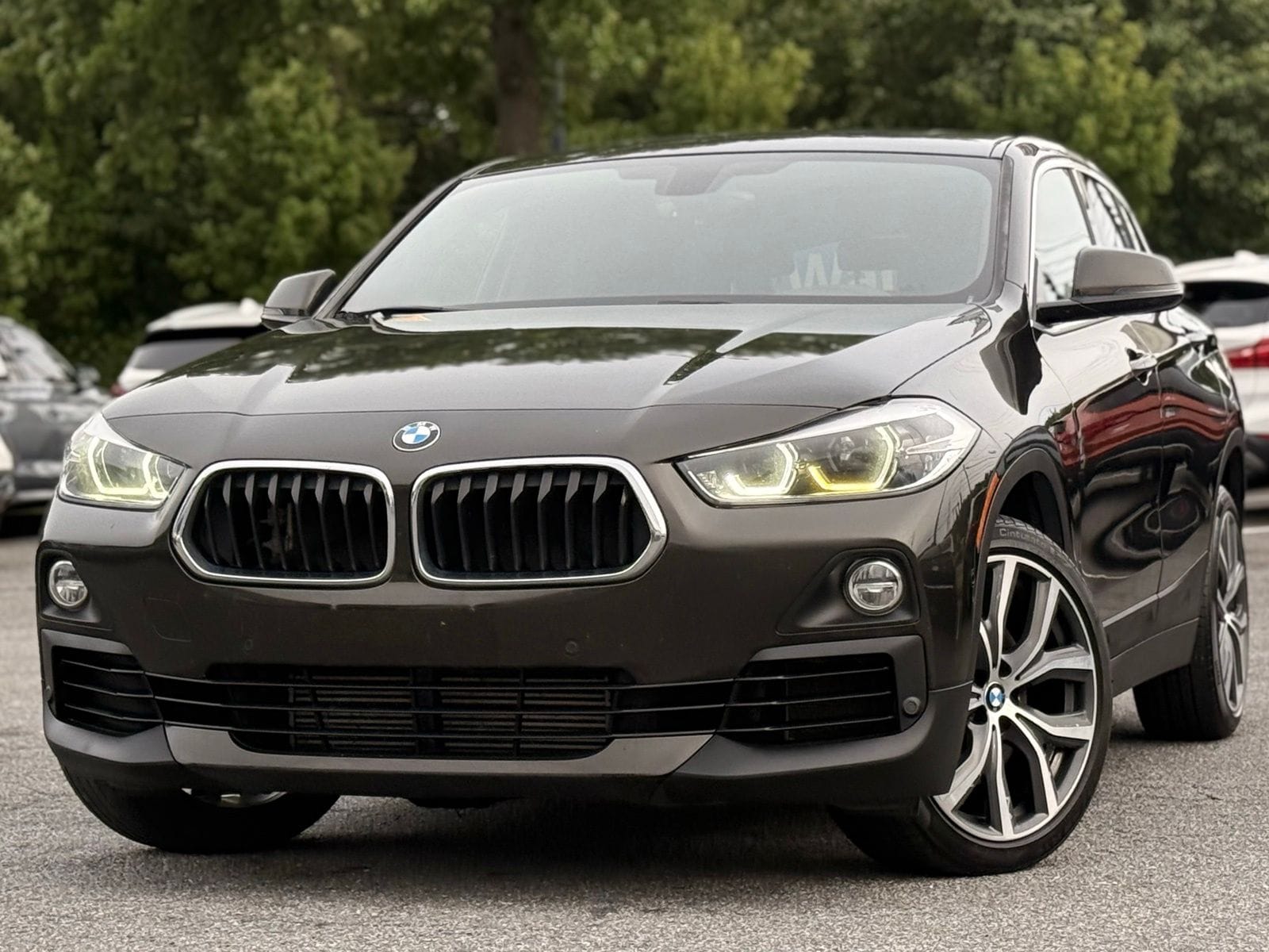 2018 BMW X2 xDrive28i's photo