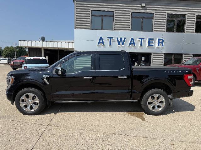 Used 2022 Ford F-150 Platinum with VIN 1FTFW1E83NFA99883 for sale in Atwater, Minnesota