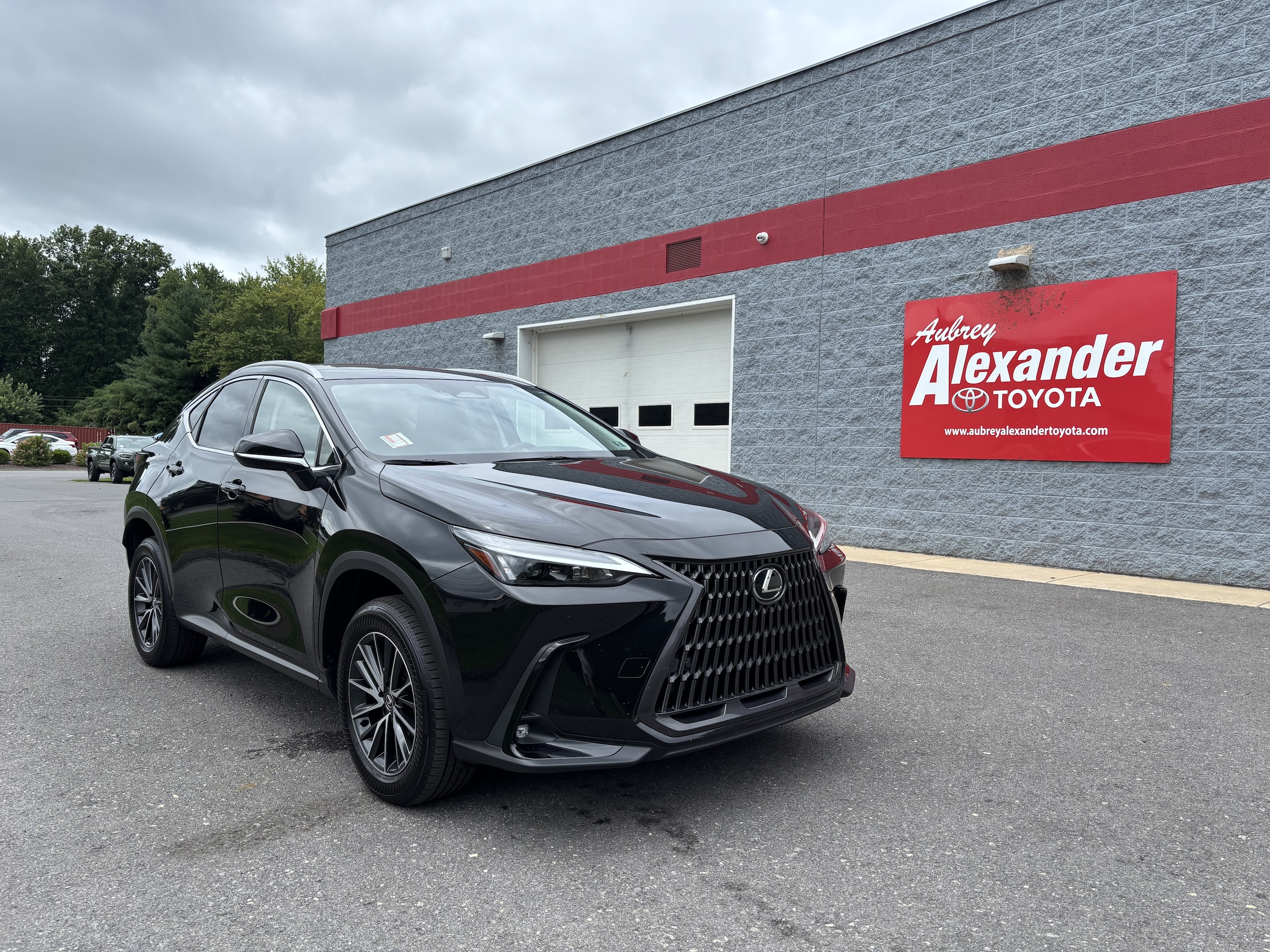 2024 Lexus NX