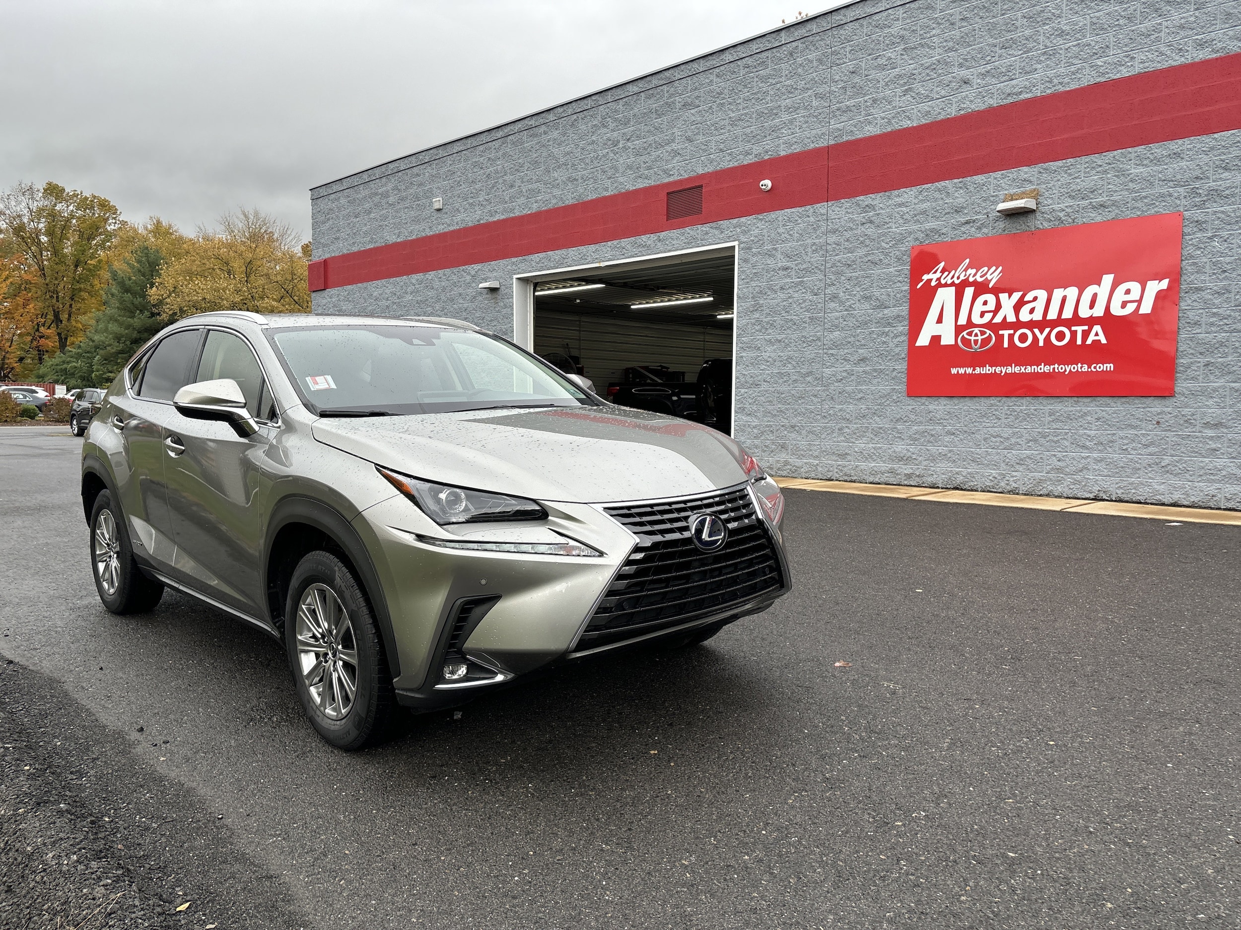 2021 Lexus NX Hybrid 300h's photo