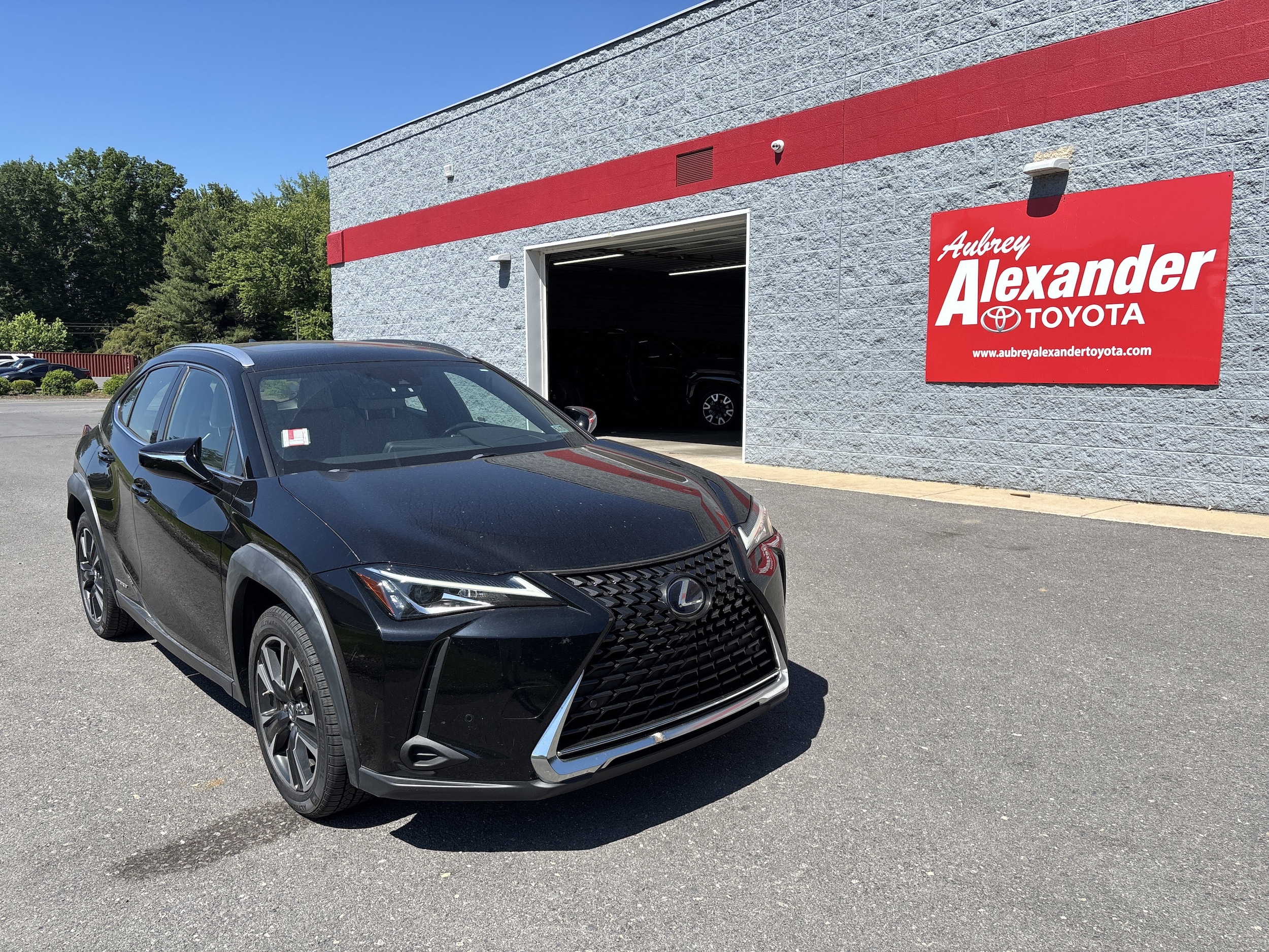 2020 Lexus UX 300h 250h AWD's photo