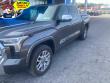 Used 2024 Toyota Tundra 4WD 1794 Edition Truck CrewMax