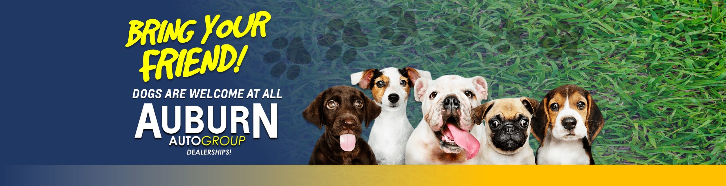 New GM Vehicles & Used Cars Auburn Chevrolet Buick GMC