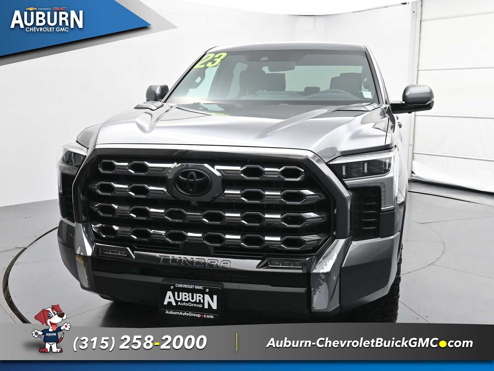 2023 Toyota Tundra Platinum photo 2