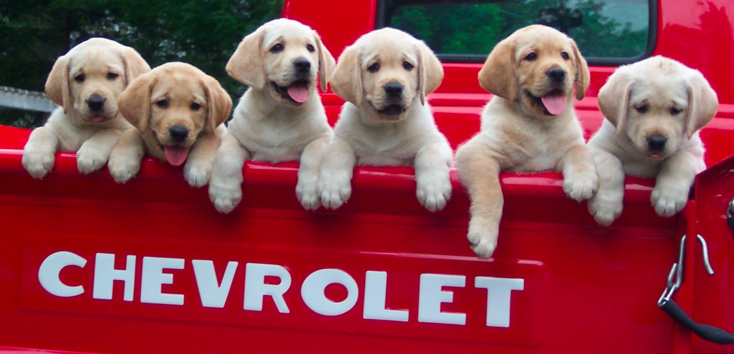 New GM Vehicles & Used Cars Auburn Chevrolet Buick GMC