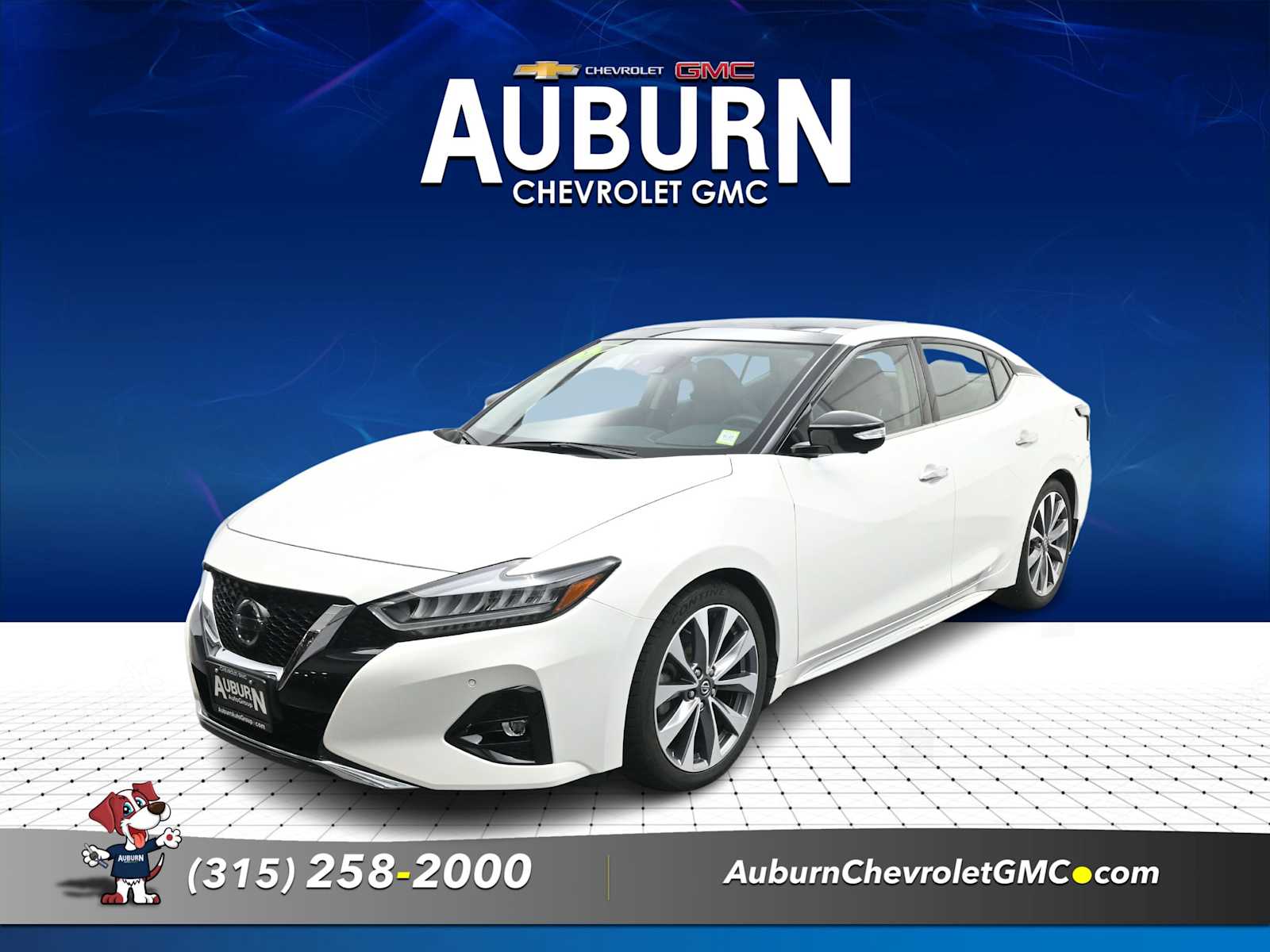 2022 Nissan Maxima Platinum's photo