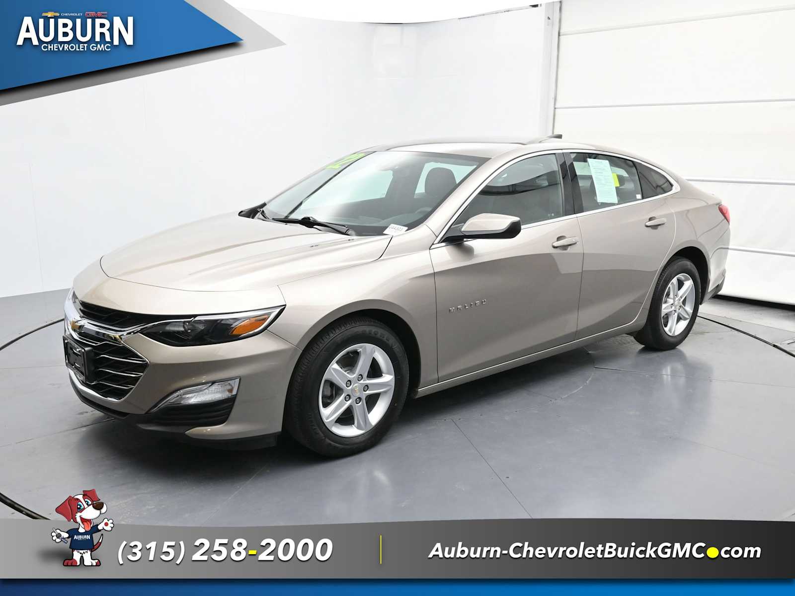 Used 2022 Chevrolet Malibu 1LS with VIN 1G1ZB5ST0NF211749 for sale in Auburn, NY