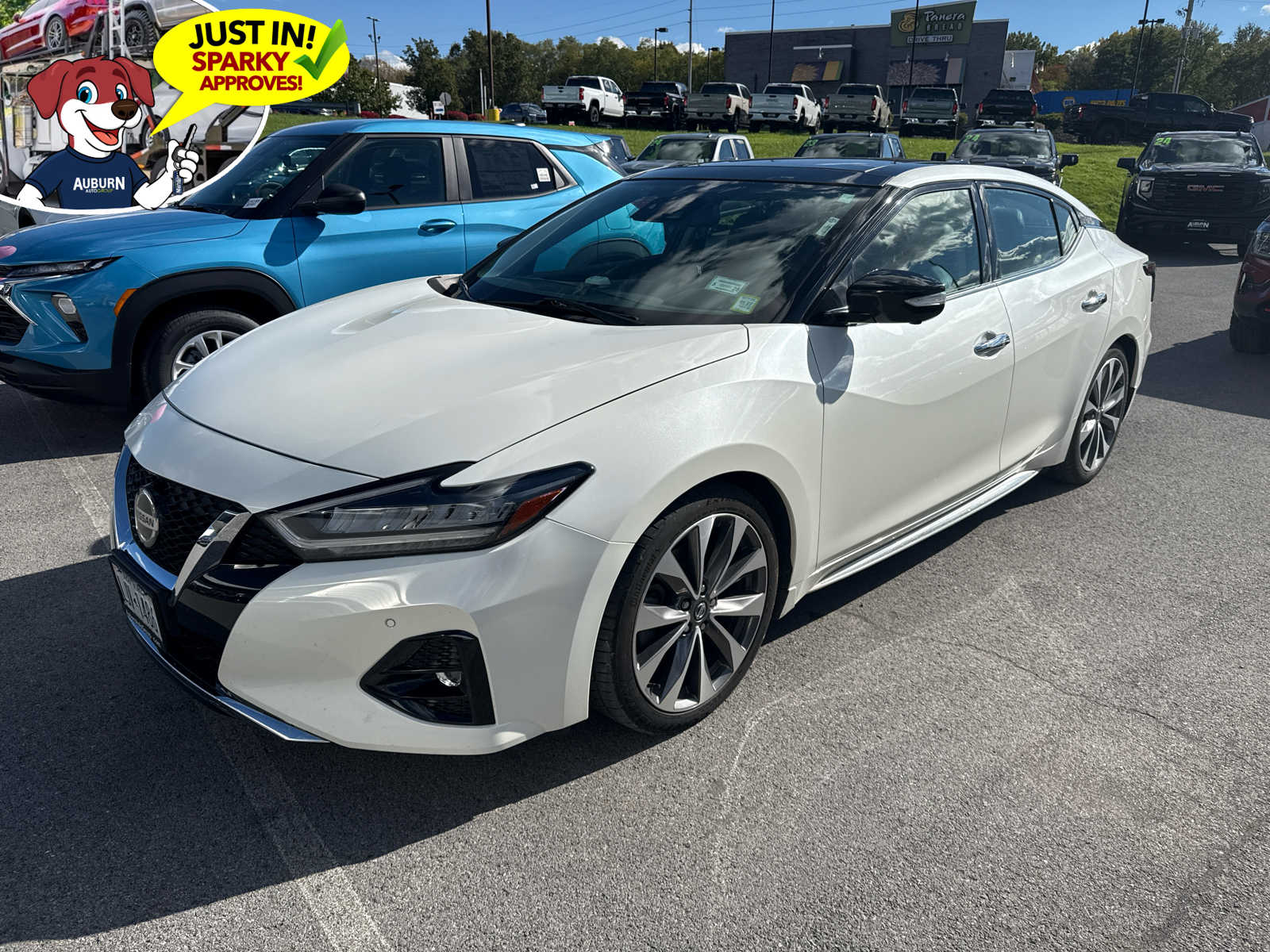 2022 Nissan Maxima