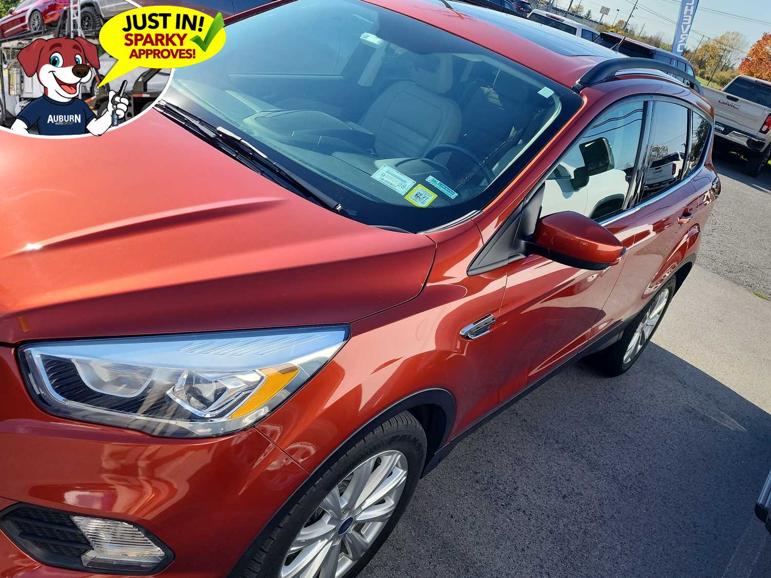  Ford Escape