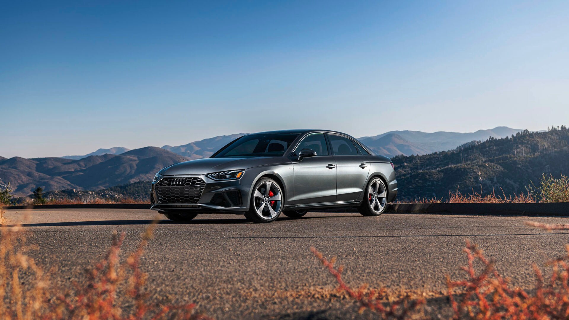 2024 Audi A4 Trim Comparison Audi Albany