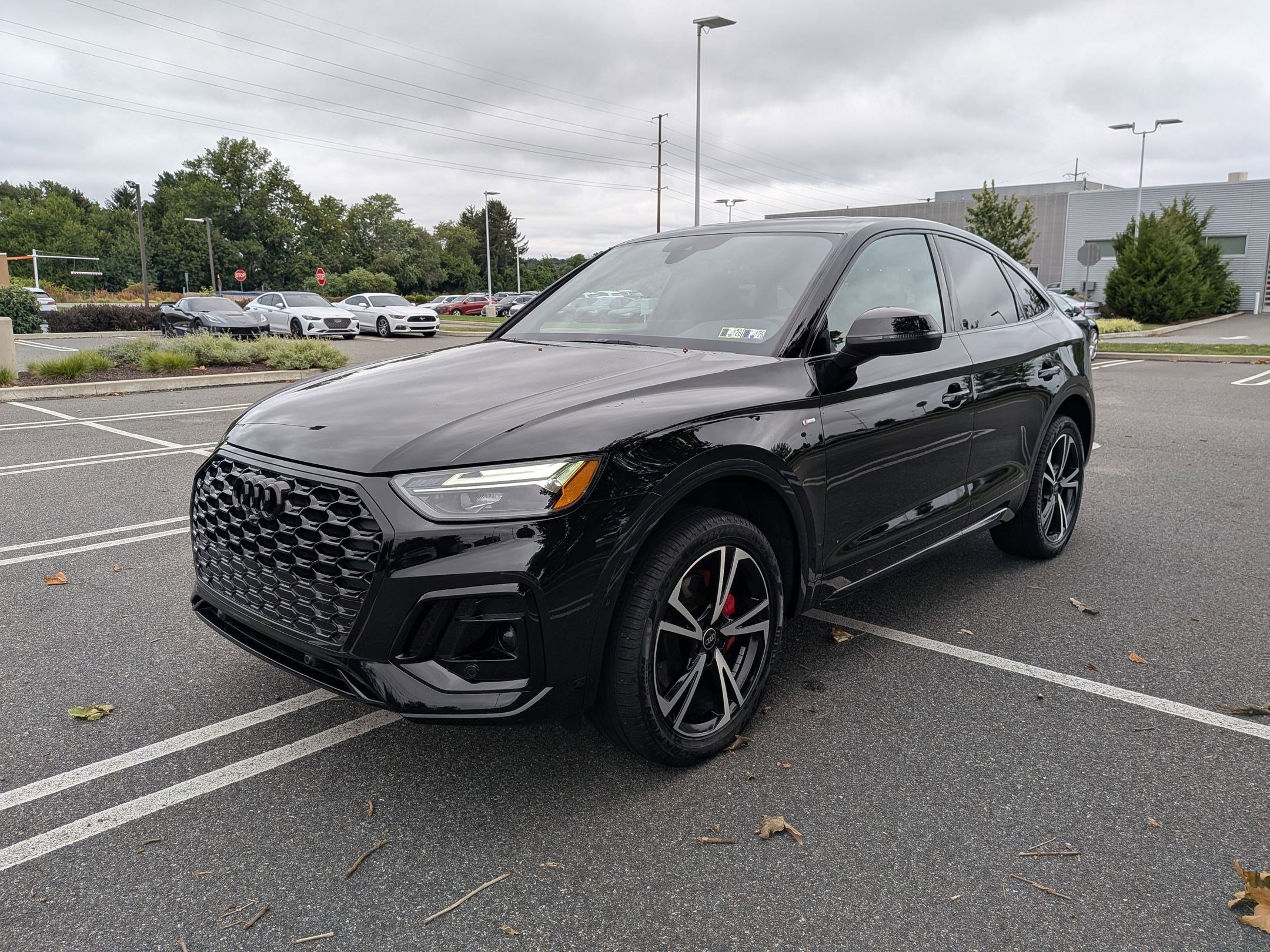 2025 Audi Q5 Sportback S line Premium Plus photo 3