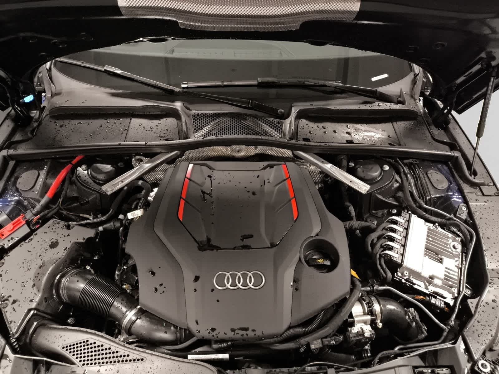 used 2023 Audi S5 Sportback car, priced at $48,998