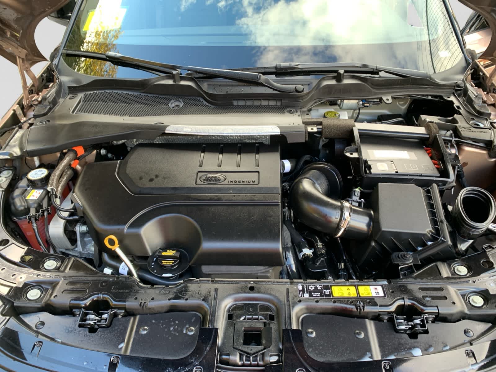 used 2025 Land Rover Range Rover Evoque car, priced at $46,998