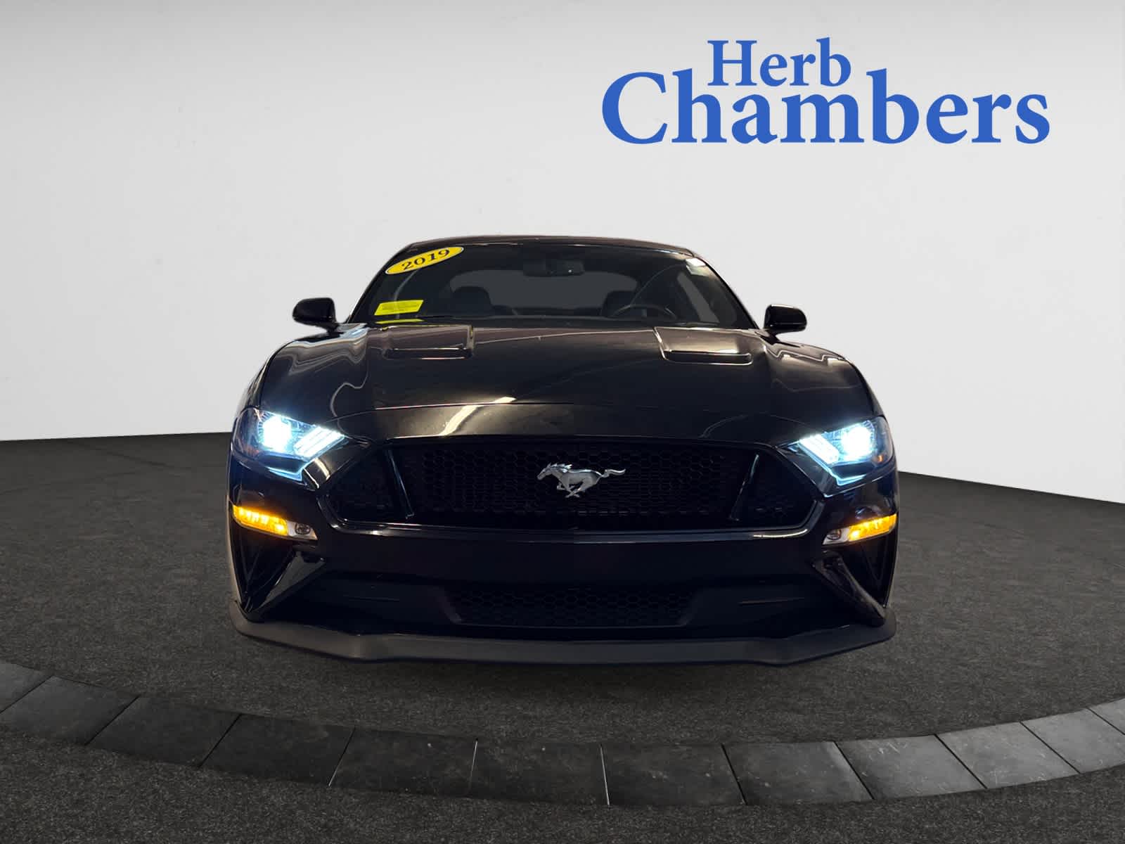 2019 Ford Mustang GT Premium photo 2