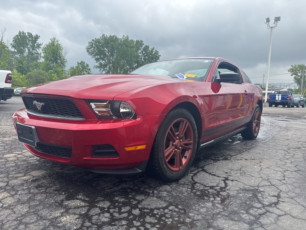 Used 2010 Ford Mustang V6 with VIN 1ZVBP8AN0A5158871 for sale in Bowmansville, NY