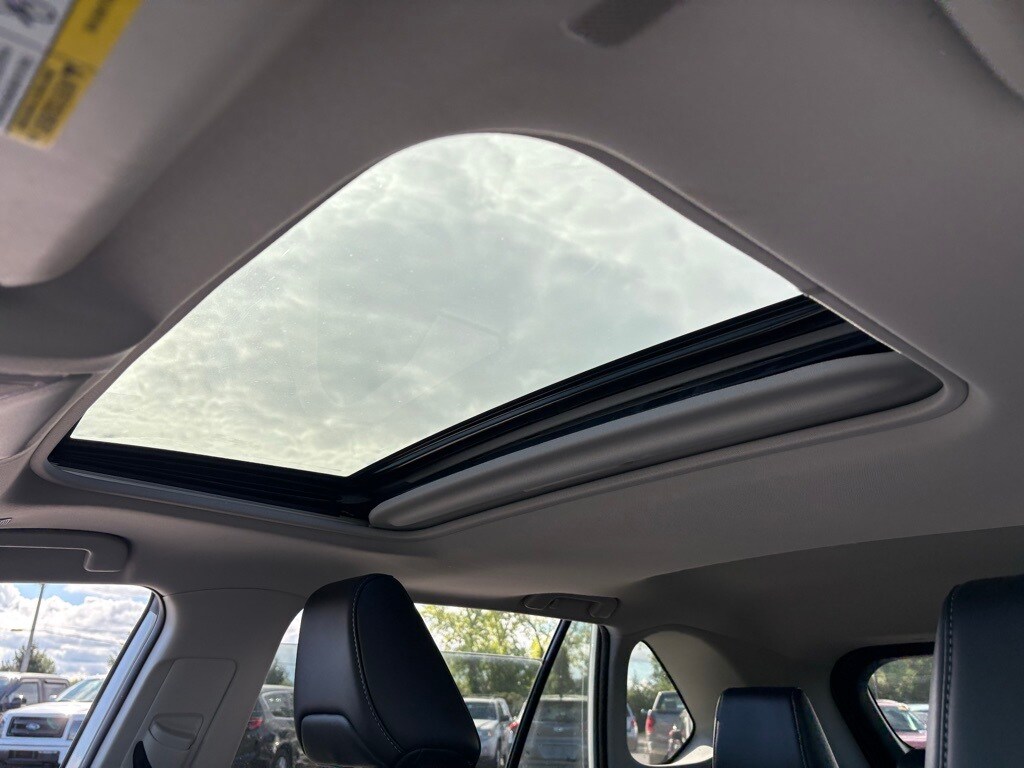 2023 Toyota RAV4 Hybrid XLE Premium photo 2
