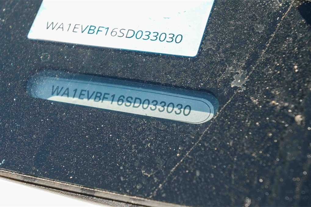 Thumbnail: 2025 Audi Q8 - 31