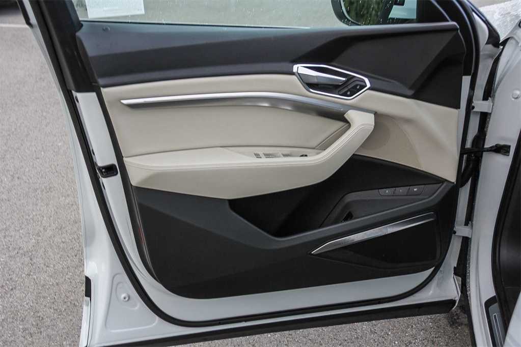 Thumbnail: 2019 Audi e-tron - 22