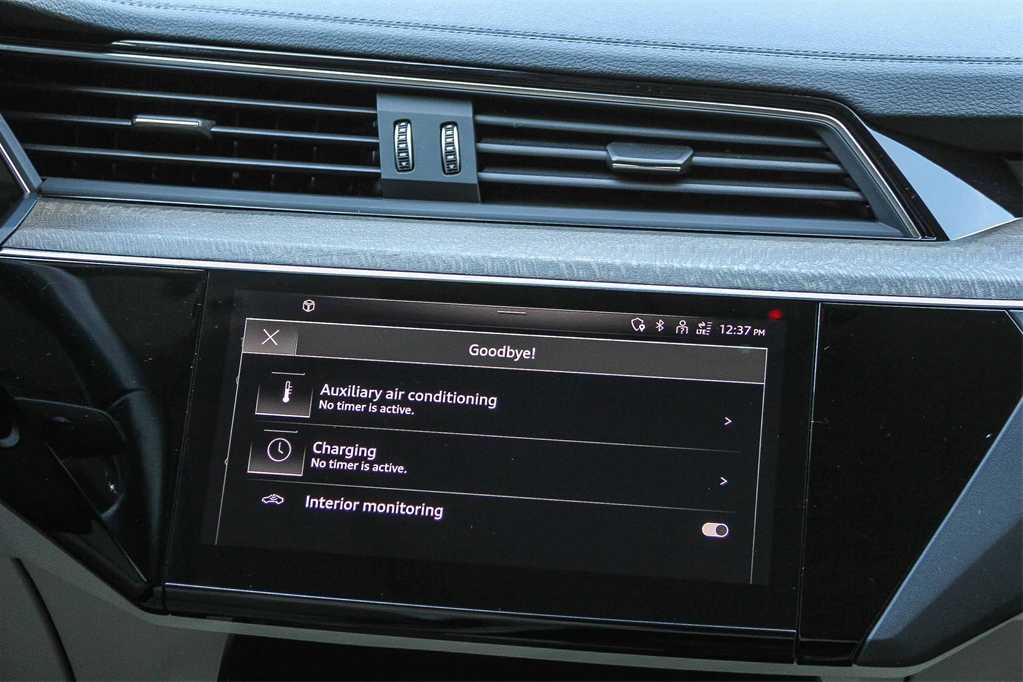 Thumbnail: 2024 Audi Q8 e-tron - 15