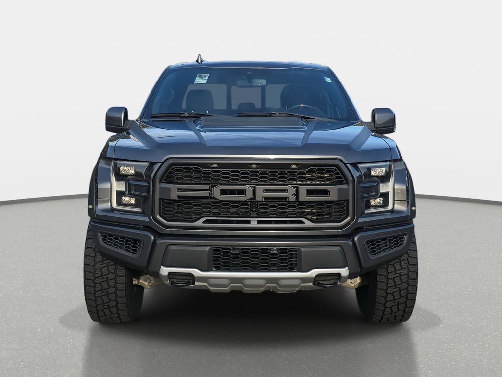 2019 Ford F-150 Raptor photo 2