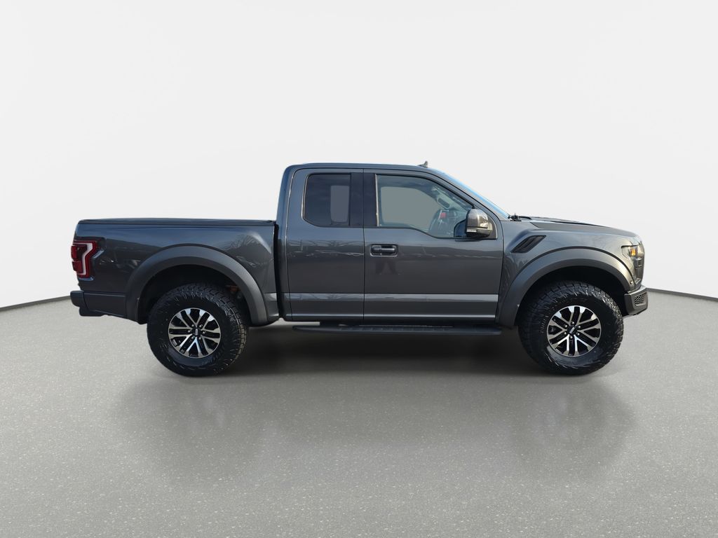2019 Ford F-150 Raptor photo 4