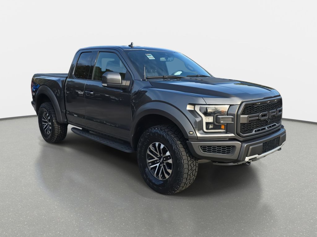 2019 Ford F-150 Raptor photo 3