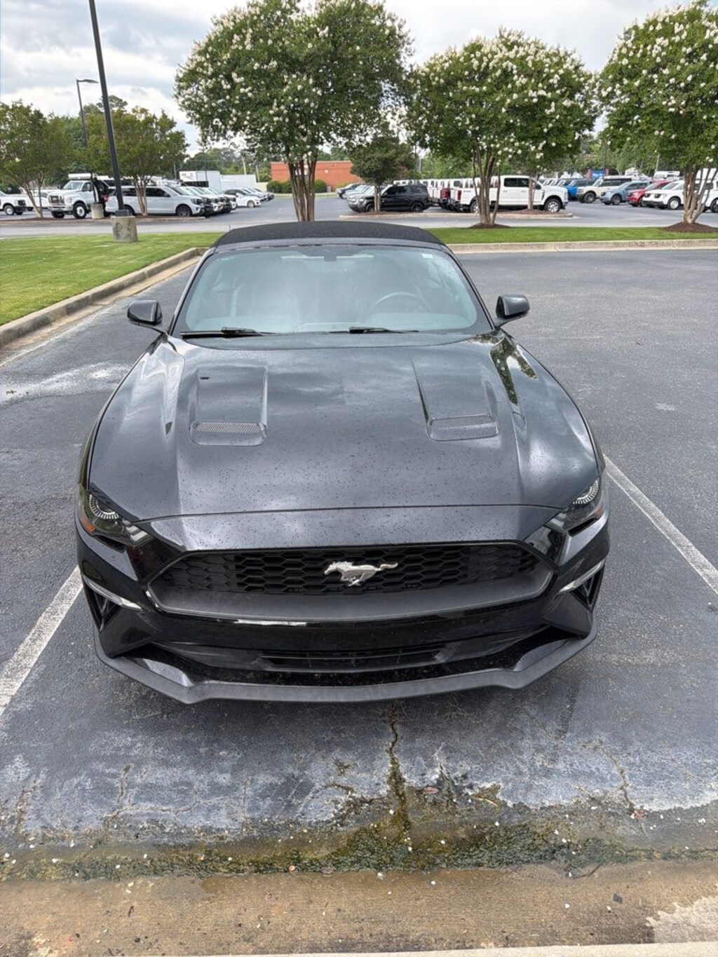 Certified 2020 Ford Mustang Convertible