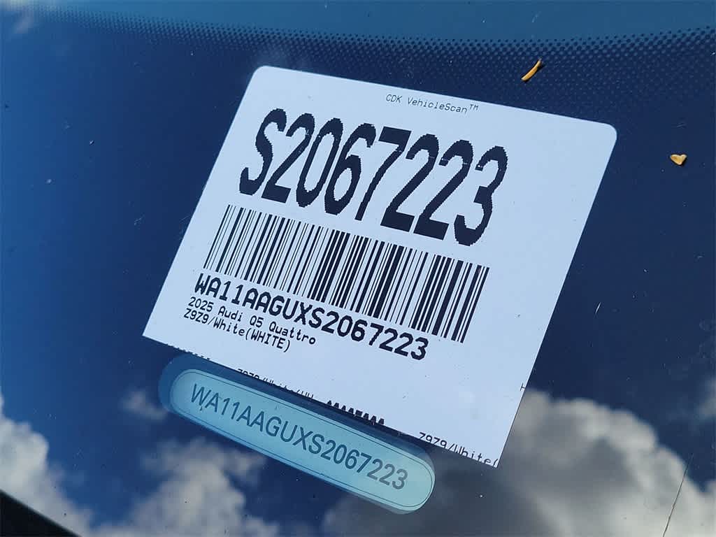 Thumbnail: 2025 Audi Q5 - 29