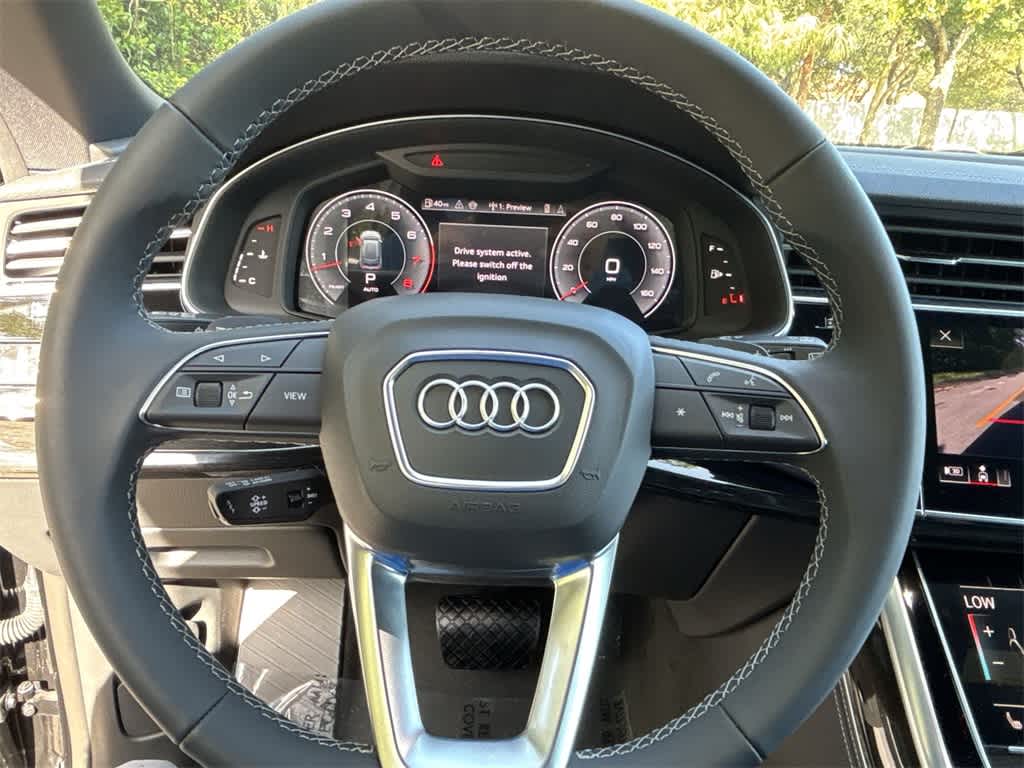 Thumbnail: 2025 Audi Q8 - 29