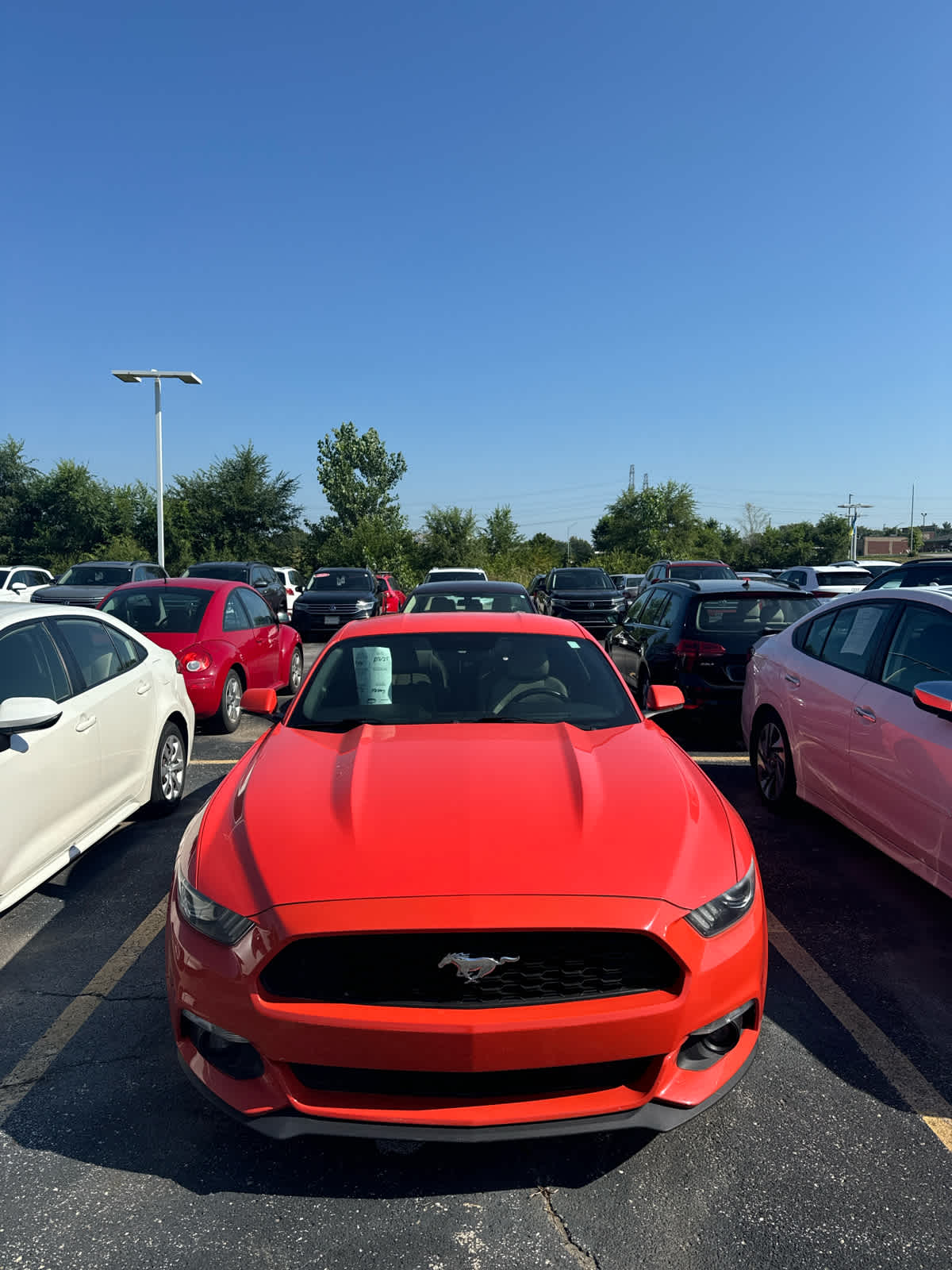 Thumbnail: 2015 Ford Mustang - 2