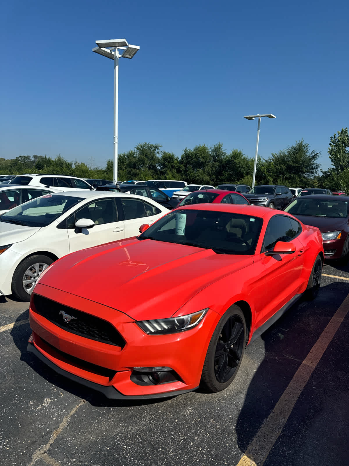 Thumbnail: 2015 Ford Mustang - 3