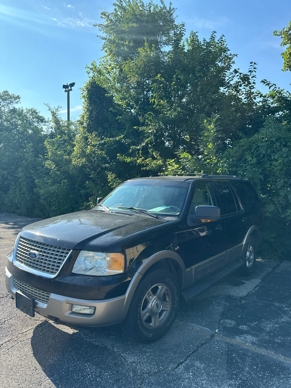 Thumbnail: 2003 Ford Expedition - 2