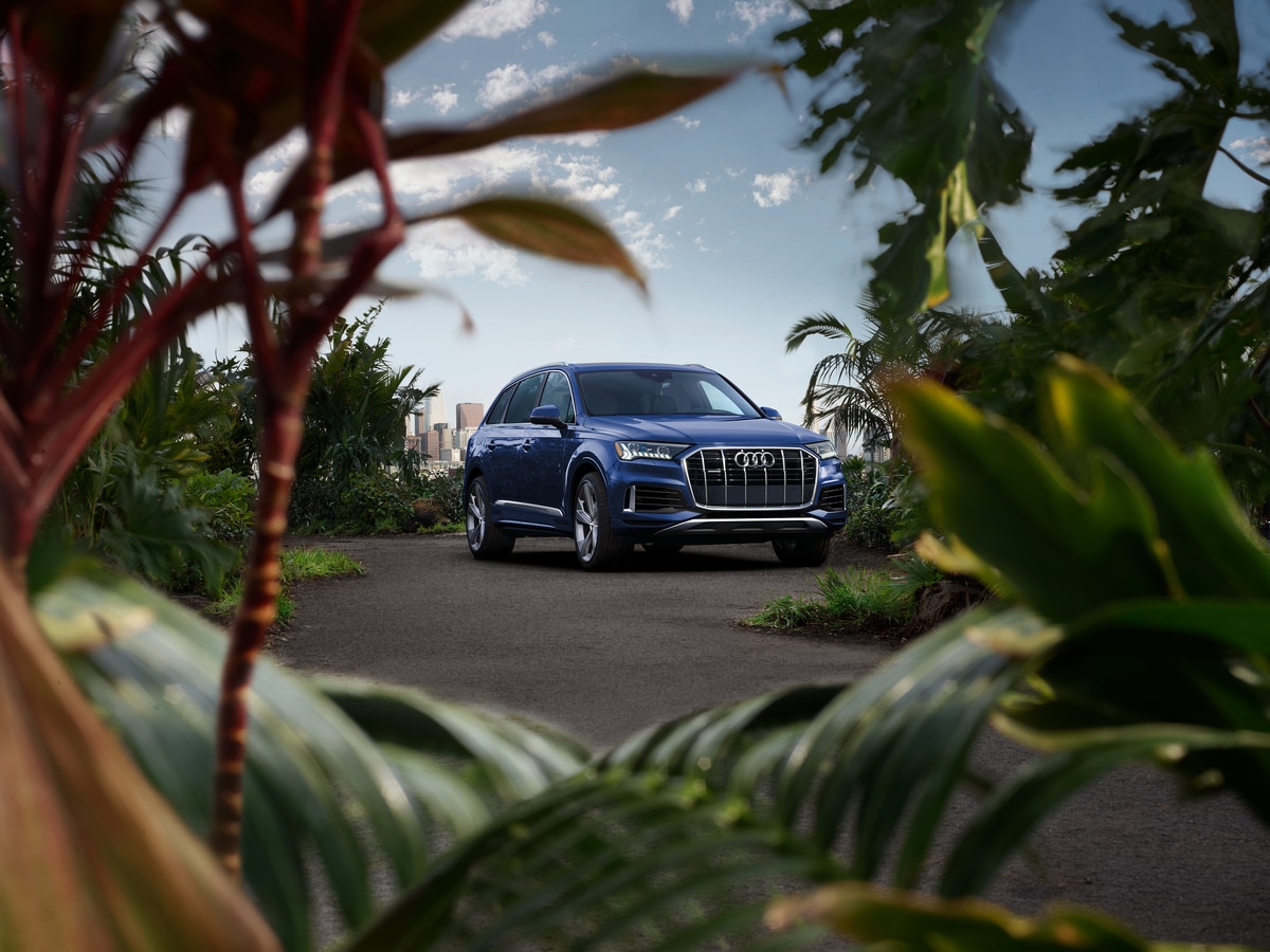 blue Audi Q7 parked in an empty lot with tropical plants in the foreground