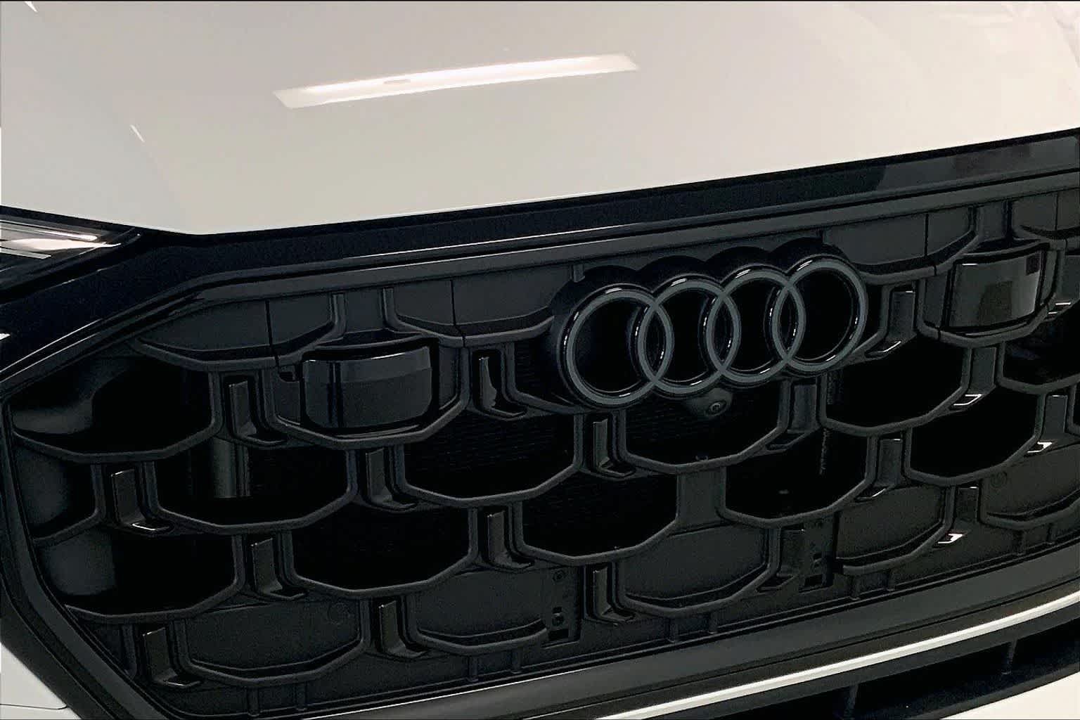 Thumbnail: 2025 Audi Q8 - 31