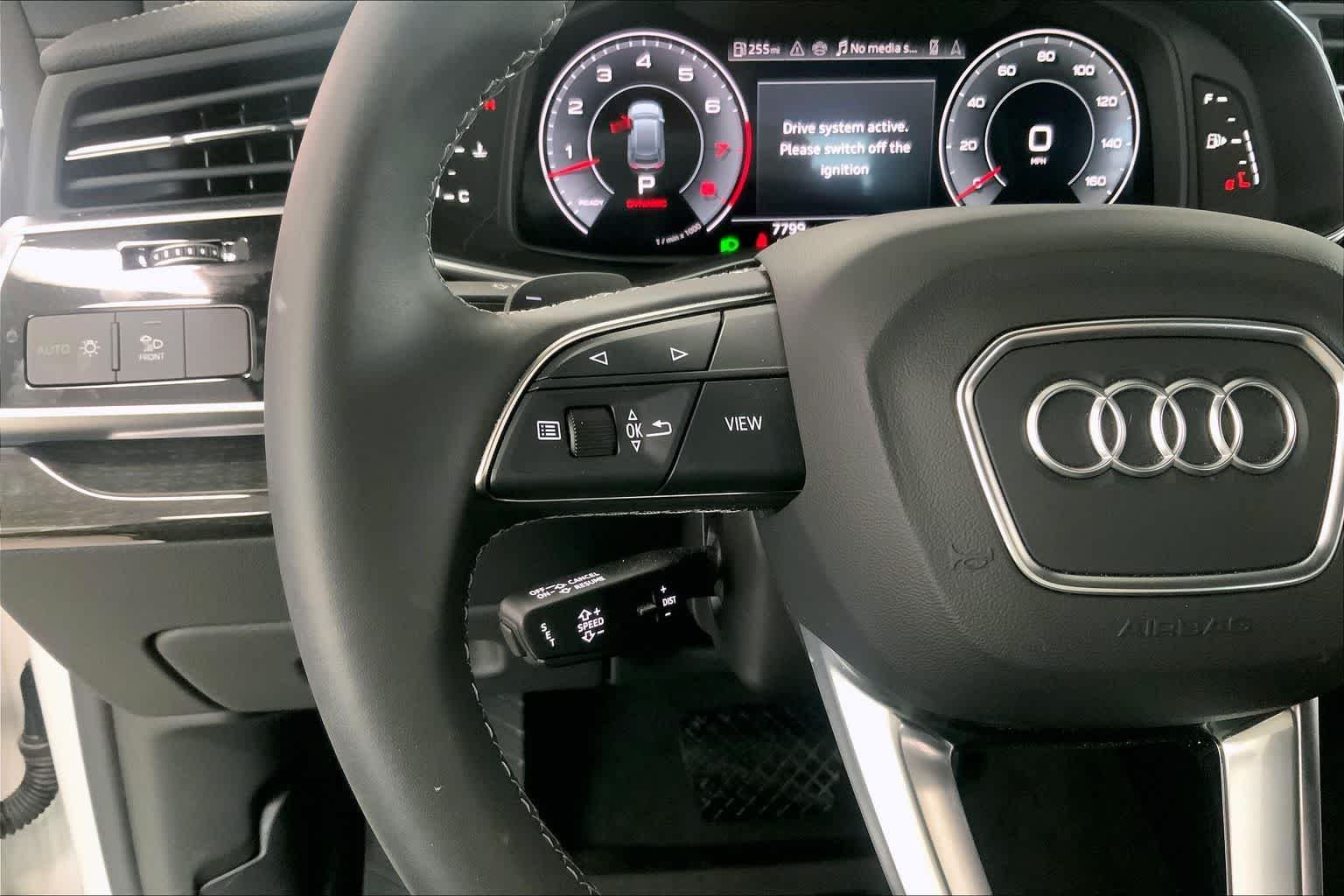 Thumbnail: 2025 Audi Q8 - 22