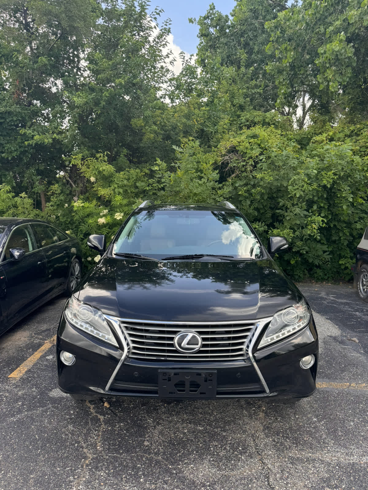 Thumbnail: 2013 Lexus RX - 2