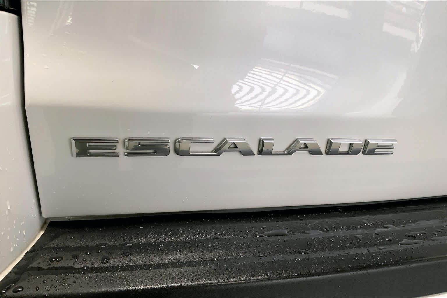 Thumbnail: 2019 Cadillac Escalade - 7