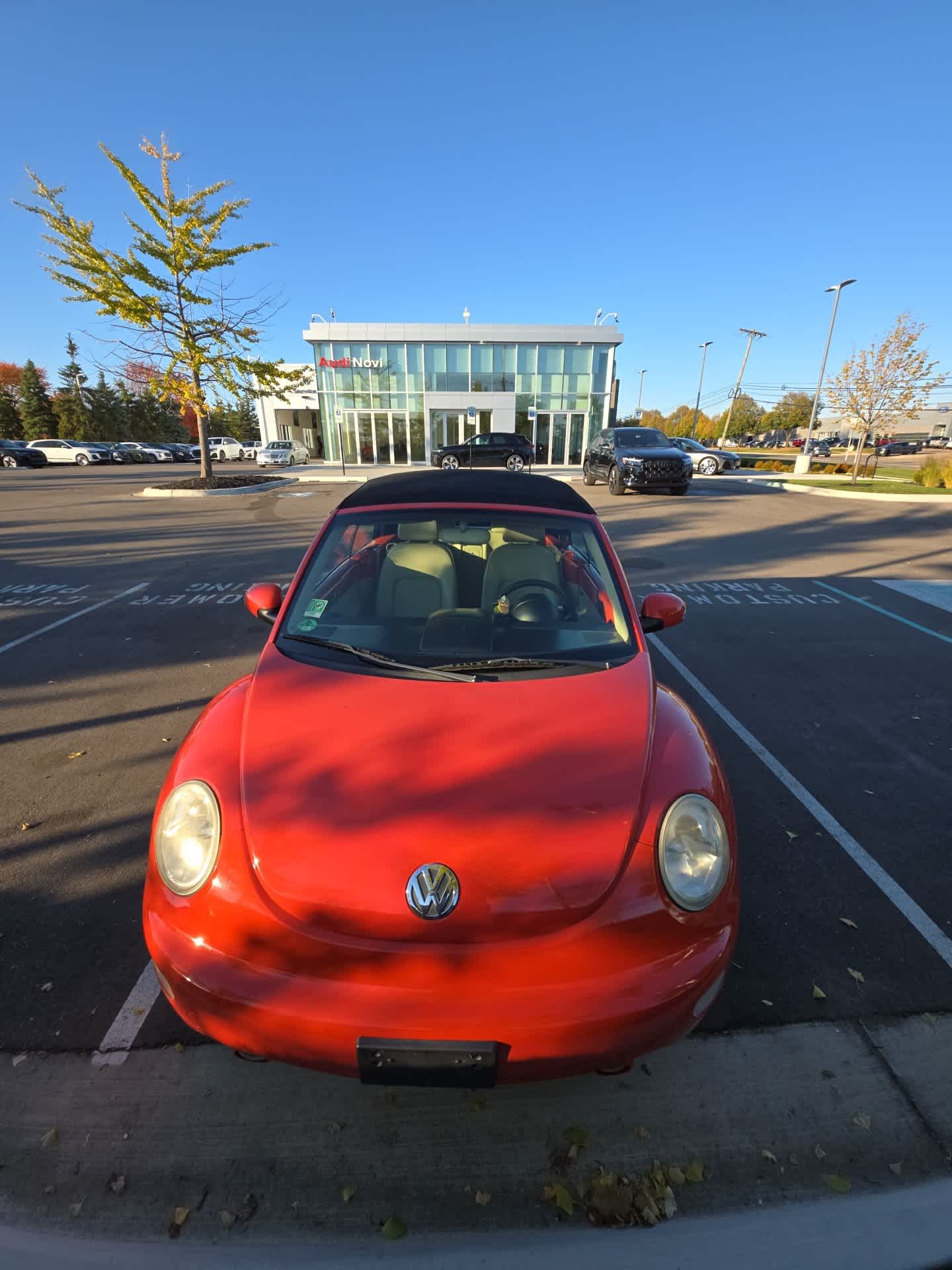 Used 2005 Volkswagen New Beetle GLS Convertible