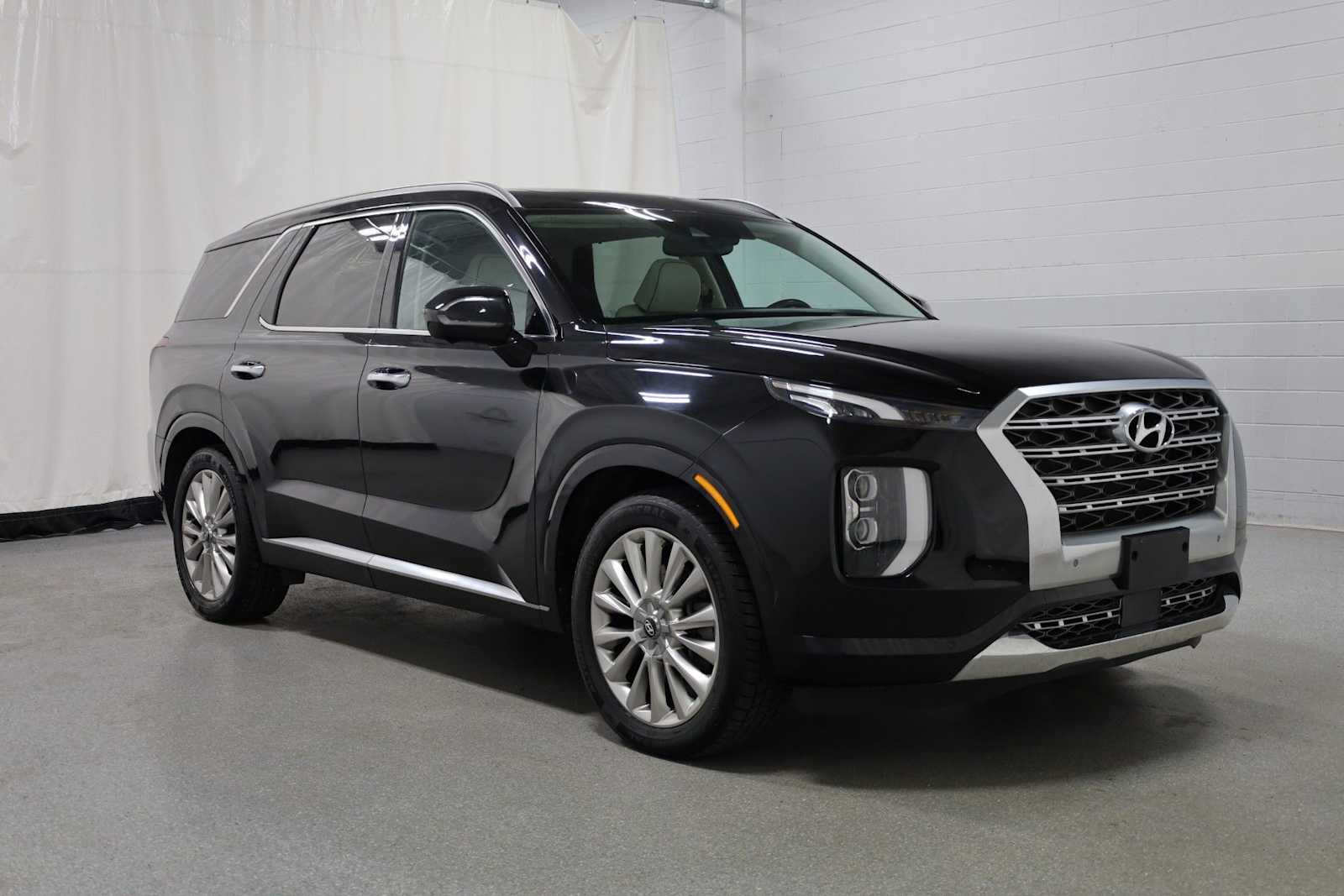 Thumbnail: 2020 Hyundai Palisade - 13