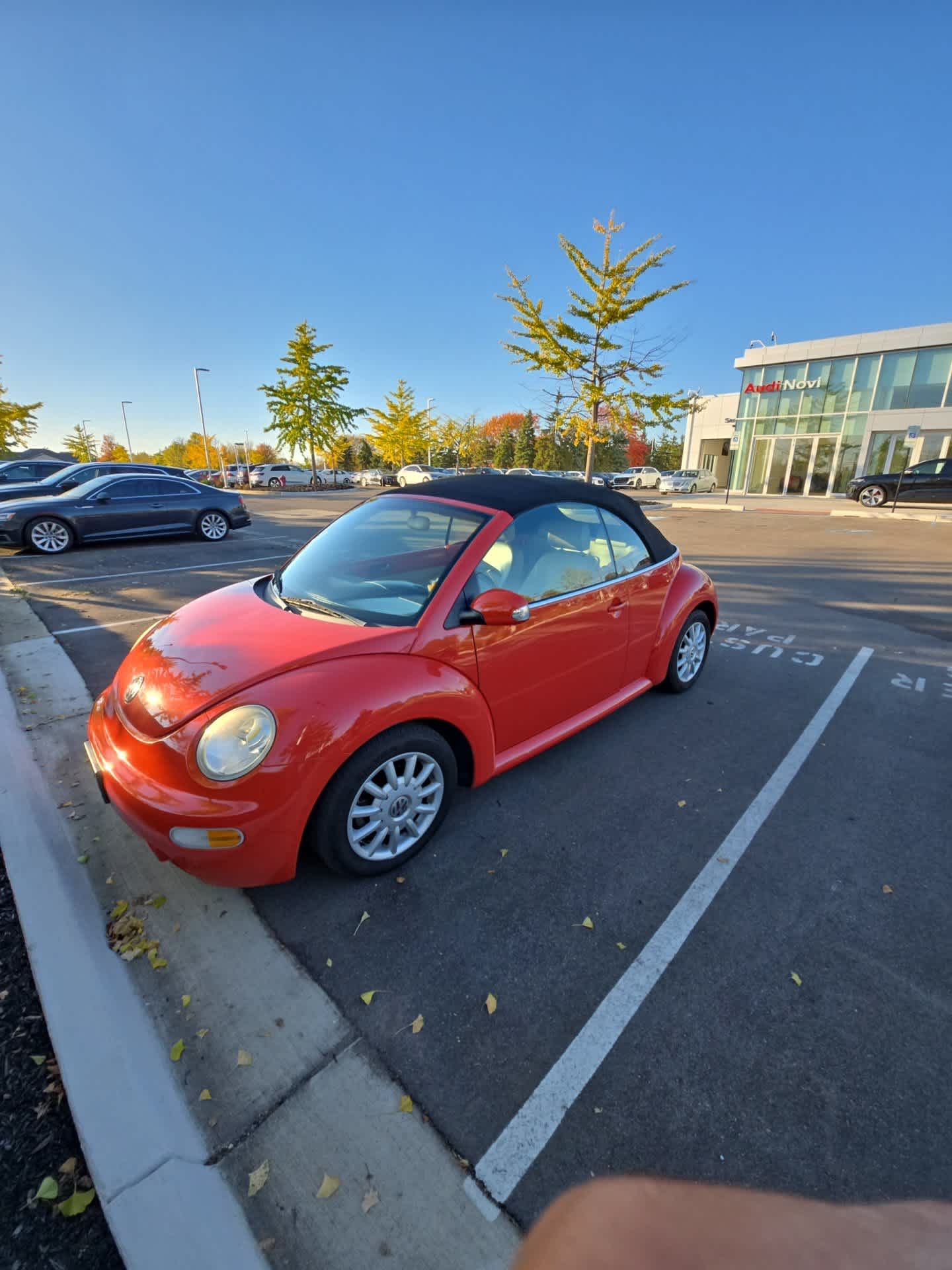 Used 2005 Volkswagen New Beetle GLS Convertible