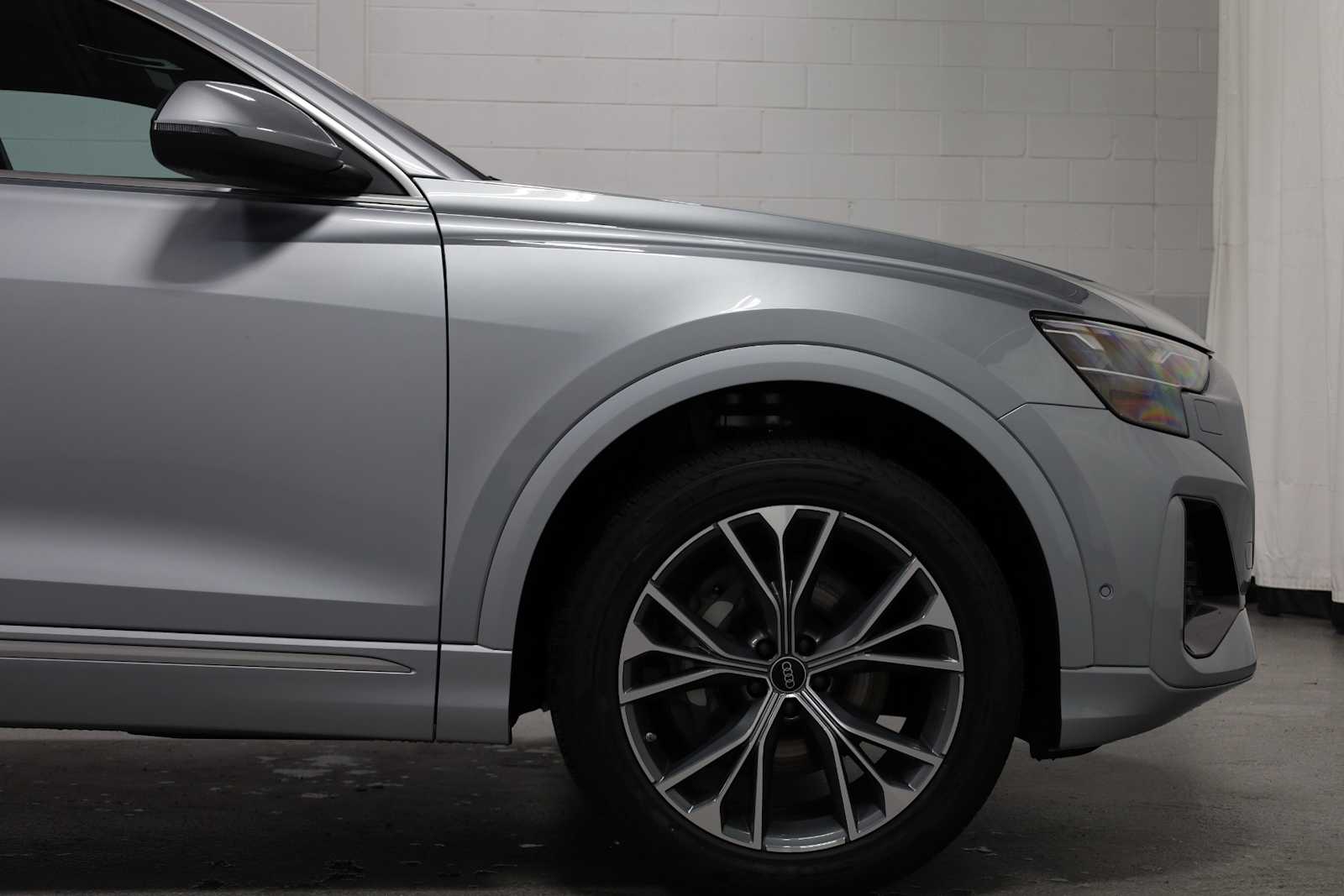 Thumbnail: 2025 Audi Q8 - 11