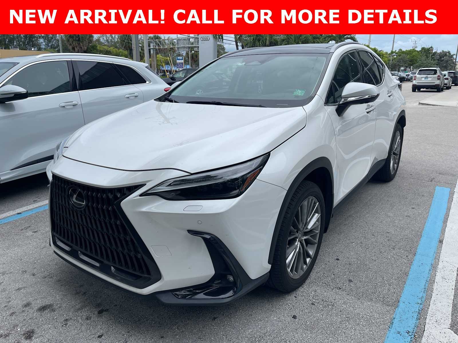 2022 Lexus NX  Hero Image