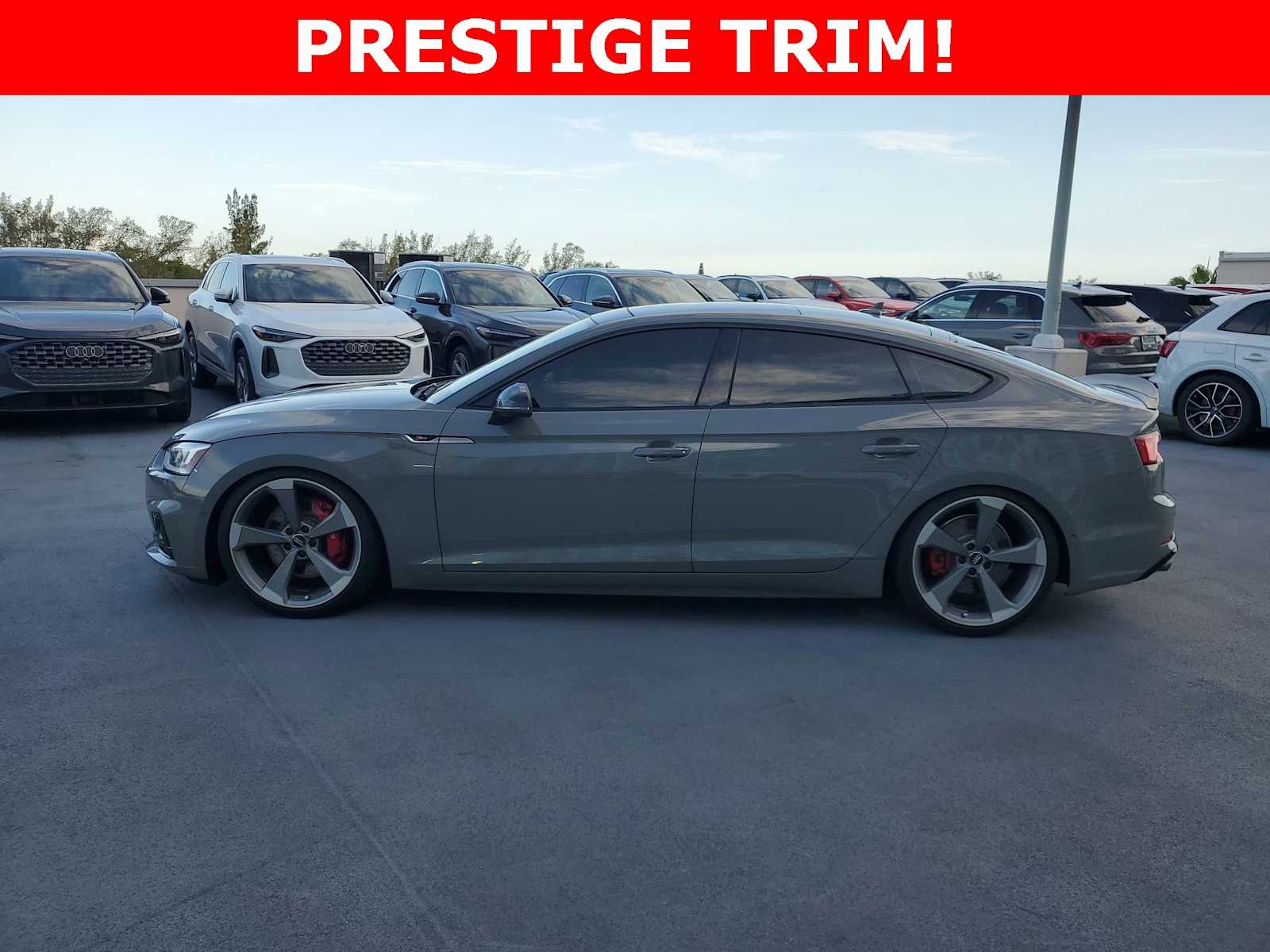 Thumbnail: 2019 Audi S5 - 3