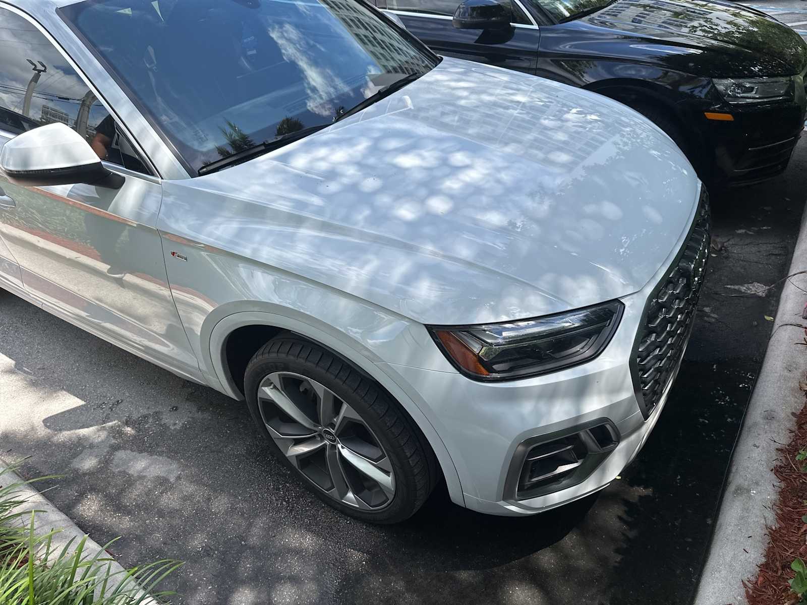 Thumbnail: 2021 Audi Q5 - 1