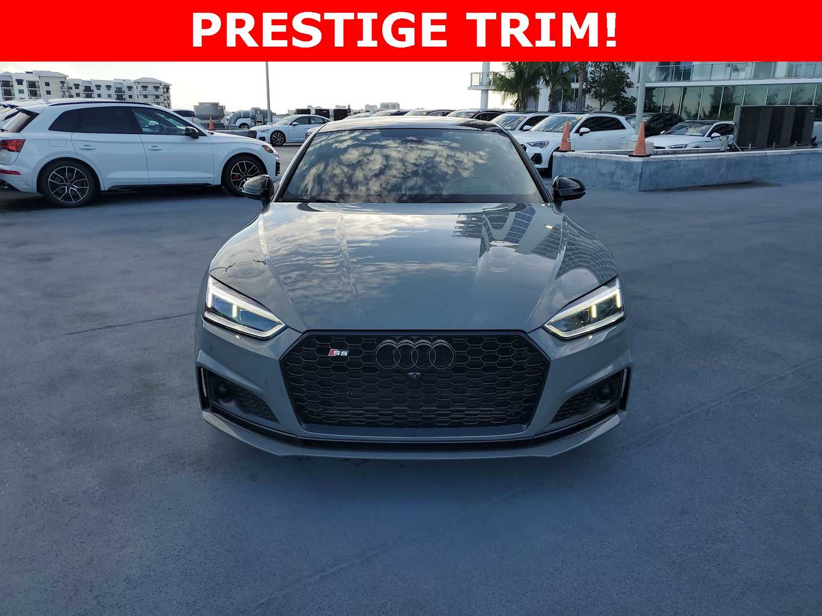 Thumbnail: 2019 Audi S5 - 9