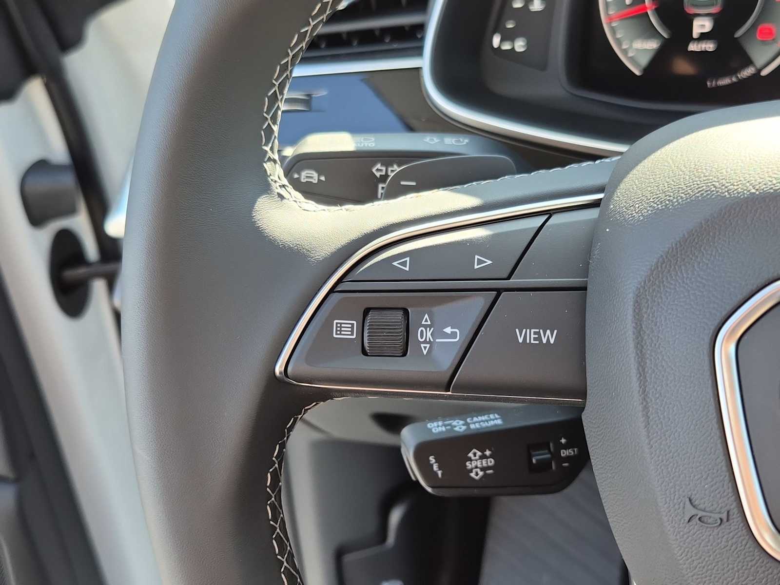 Thumbnail: 2025 Audi Q8 - 21